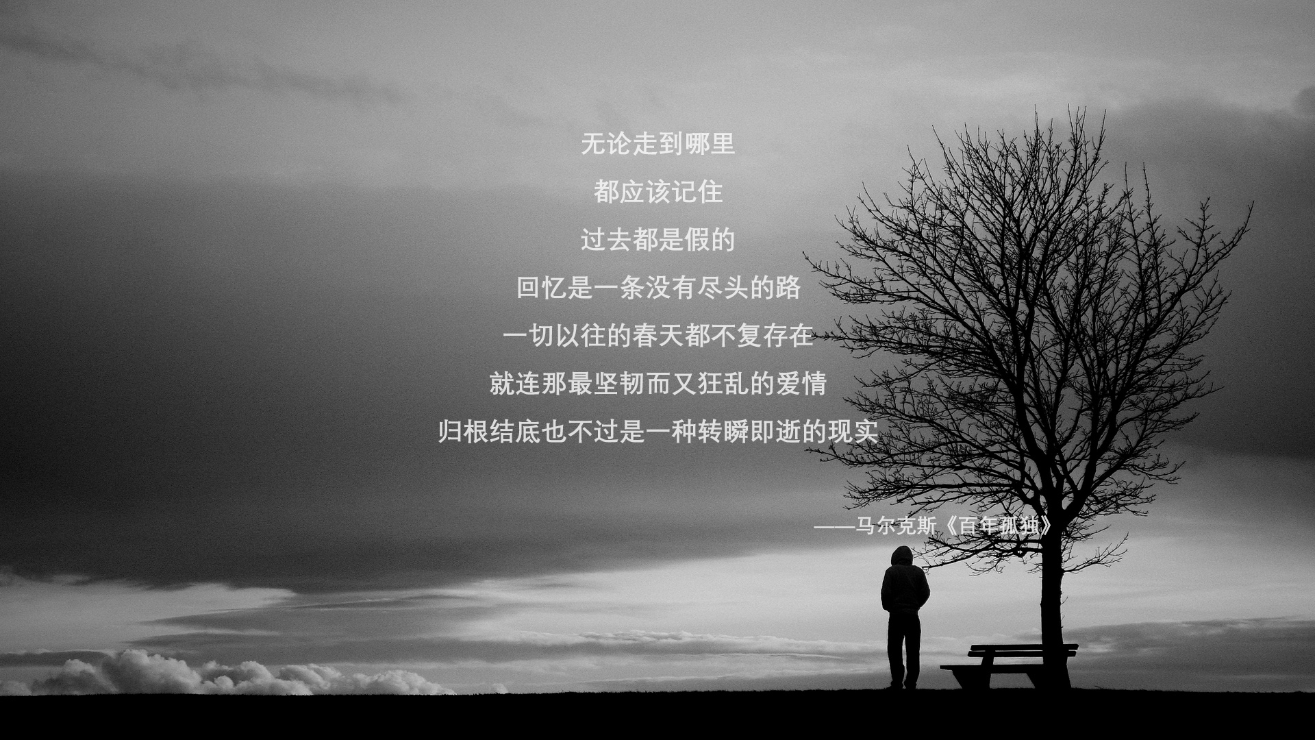 kaiyun体育综合-未来“足球新星”崭露头角，欧冠舞台的潜力股，欧冠角色