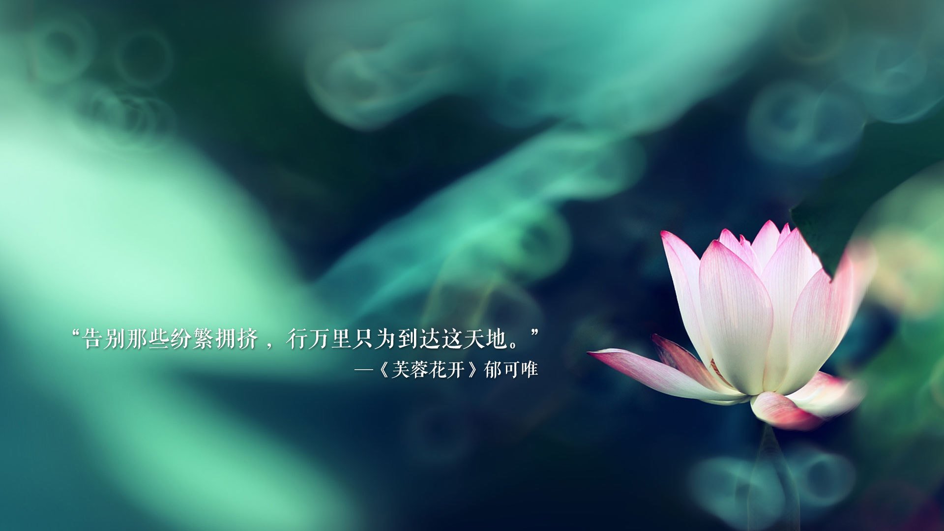 未来“足球新星”崭露头角，欧冠舞台的潜力股，欧冠角色