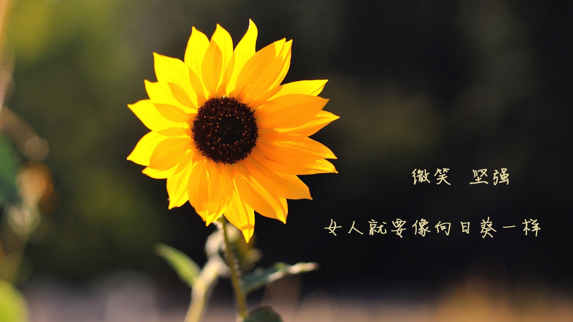 开云官方-全国青少年乒乓球混双赛激烈角逐，2021全国青少年乒乓球