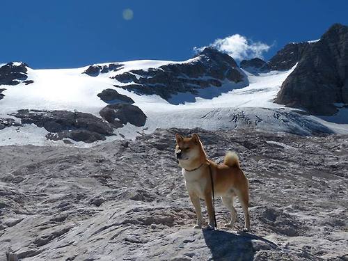 校园体育场馆智能调度系统研究,体育场馆智能化管理