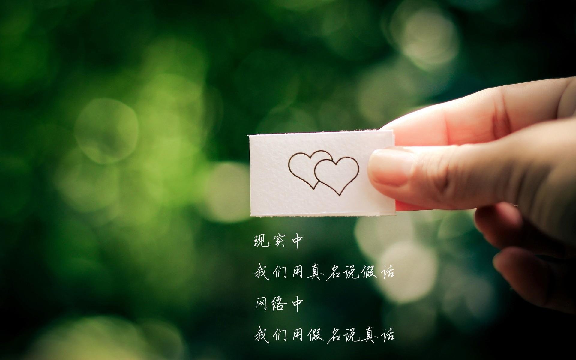 课程改革评估体系,课程改革评价