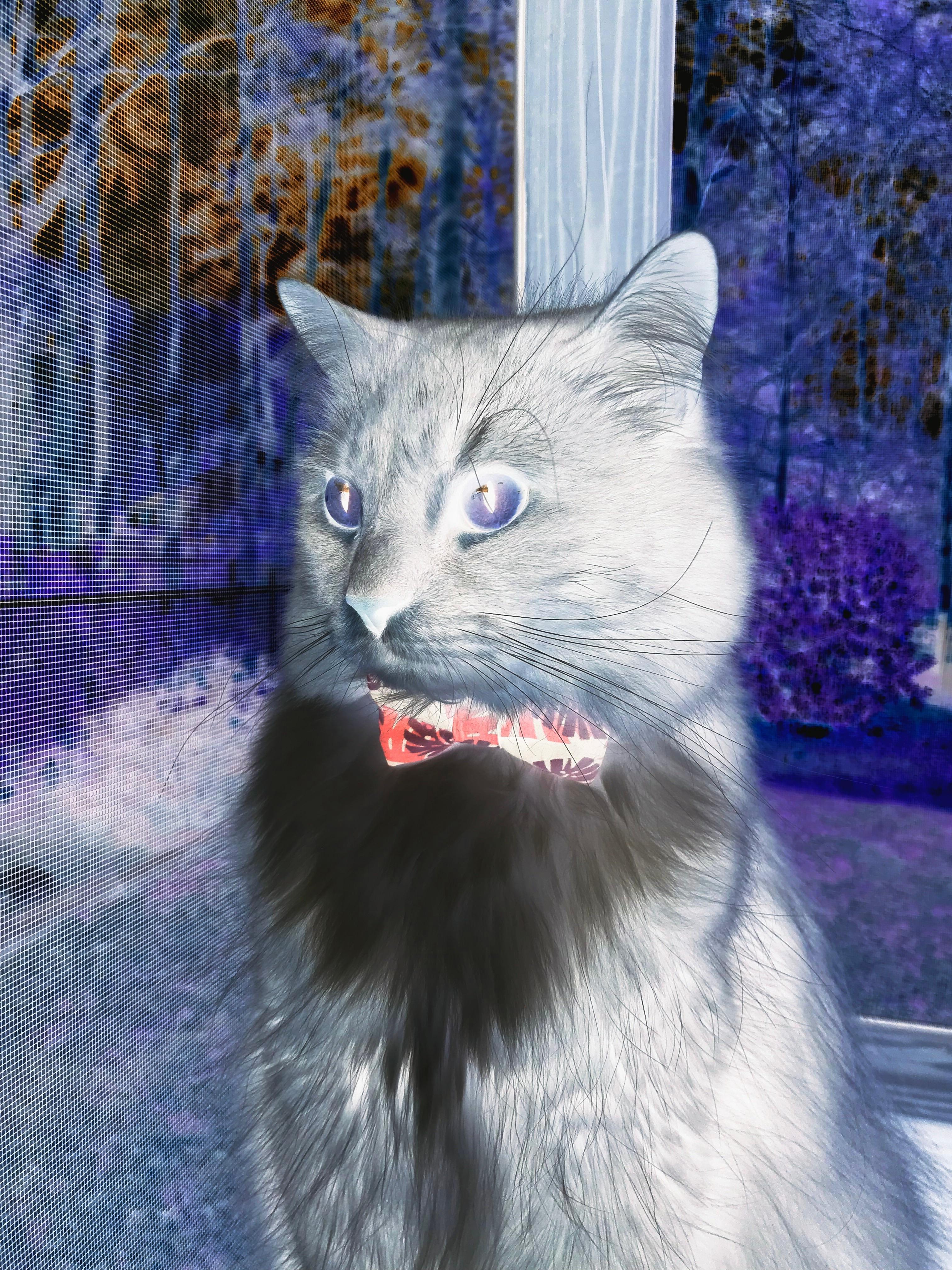 开云·体育官网APP下载-“滑轮赛：新兴选手以惊艳表现打破传统束缚”