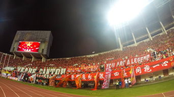 开云官方-场馆设施翻新完成比赛场地改造计划推进，场馆设计方案