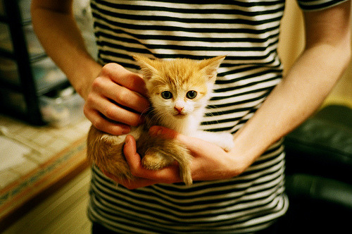 开云kaiyun-新加坡队赛制评估：如何提升团体赛中的配合与协调性，新加坡三人赛冠军