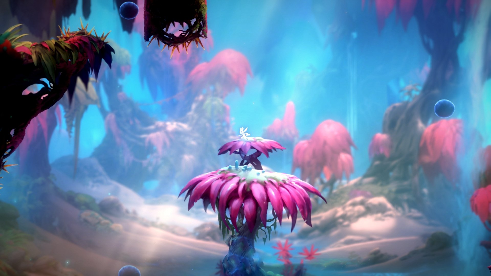 开云官方网页登录-大卫·波波维奇100米自由泳决赛展现爆发力，大卫波茨冲跳一体