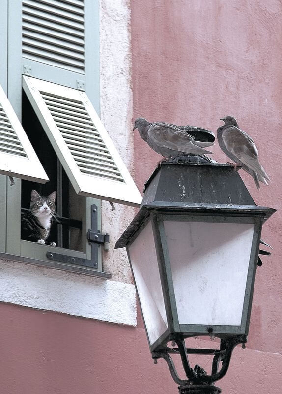 李娜创造历史网球公开赛，李娜网球公开赛冠军