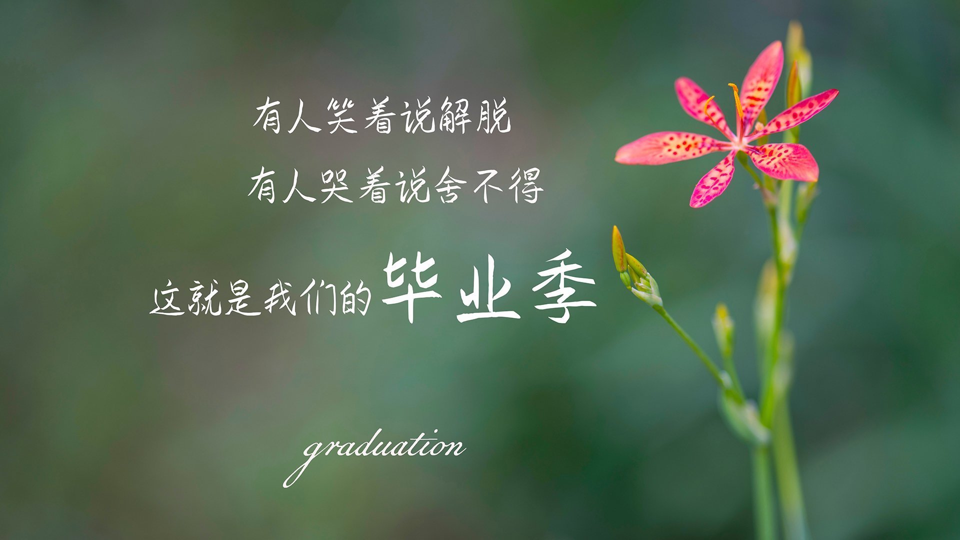 菲律宾男篮在东南亚锦标赛中夺冠，体育运动再升温，菲律宾男子篮球队