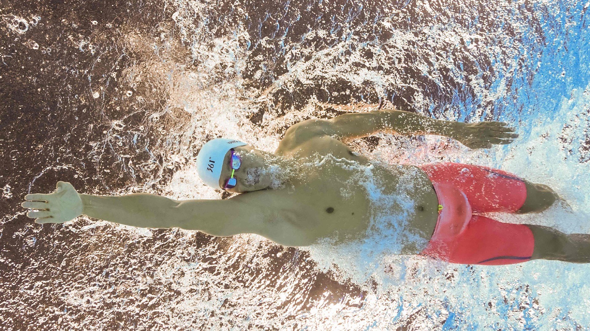 张本智和再创历史，成为新晋乒坛明星，乒乓张本智和